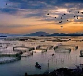 潮州伴游中国网景点丰富(旅游网介绍)