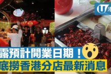 潮州香港酒店雇用高薪伴游(高端伴游雇用)