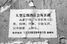 潮州珠海伴游雇用网(珠海游览社雇用信息)
