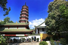 潮州广州自由行(广州 自由行)