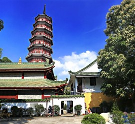 潮州广州自由行(广州 自由行)