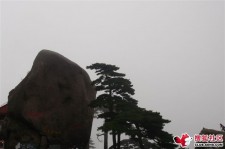 潮州上海伴游私家陪游雇用女模(上海伴游私家陪游雇用女模特)