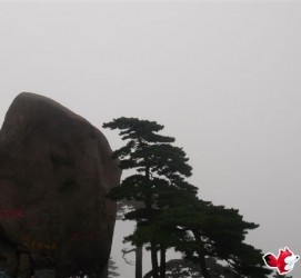 潮州上海伴游私家陪游雇用女模(上海伴游私家陪游雇用女模特)