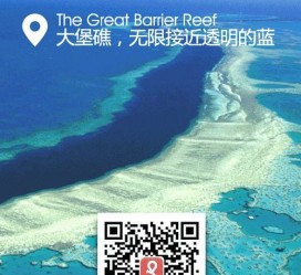 潮州中国250家旅行社结伴游新西兰(新西兰当地旅行社)