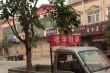 潮州上海伴游 用伴游造句大全(5