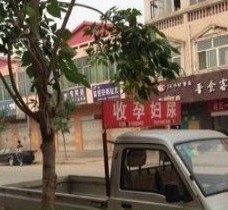 潮州上海伴游 用伴游造句大全(5
