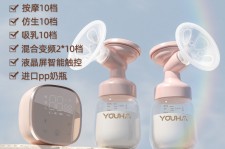 潮州奶模(奶模型)