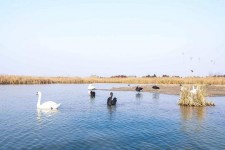 潮州南昌附近伴游小妹兼职(1534939978姐的微信德惠市)