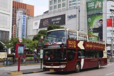 潮州上海私人伴游 上海过年怎么玩？这些“微游”线路了解下→