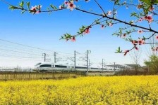潮州高铁游(高铁游戏下载手机版)
