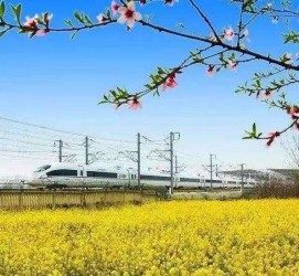 潮州高铁游(高铁游戏下载手机版)