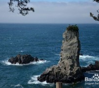 潮州旅游全攻略(上海旅游全攻略)