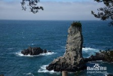潮州旅游全攻略(上海旅游全攻略)