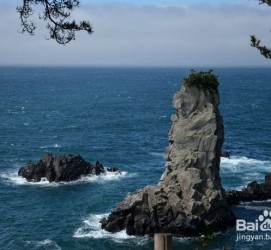 潮州旅游全攻略(上海旅游全攻略)
