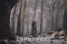 潮州上海私人伴游 上海伴游，上海兼职伴游安全吗