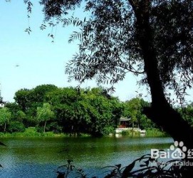 潮州西湖旅游攻略(上海到杭州西湖旅游攻略)