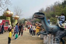 潮州中国伴游带你打卡网红南山竹海(南山竹海网上预约)