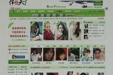 潮州home伴游中国(zarahome乳胶枕)
