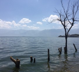 潮州洱海旅游攻略(洱海旅游攻略自由行)