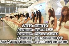 潮州雇用旅游男伴游(北京商务酒店雇用伴游)