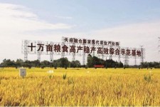 潮州关于成都商务伴游外围雇用的信息