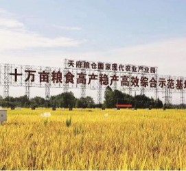 潮州关于成都商务伴游外围雇用的信息