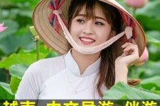 潮州日本关东伴游中国(日本关西旅行)