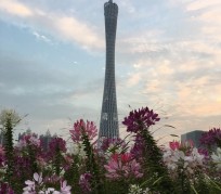 潮州广州旅游攻略(杭州到广州旅游攻略)