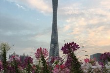 潮州广州旅游攻略(杭州到广州旅游攻略)