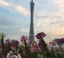 潮州广州旅游攻略(杭州到广州旅游攻略)