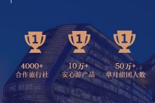 潮州上海私人伴游 ​ “小而美”的新时代：2020年国内新跟团消费报告