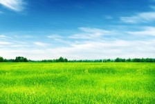 潮州上海伴游 上海模特伴游微信号的交友宣言