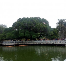 潮州福州旅游攻略(福州旅游攻略二日游)