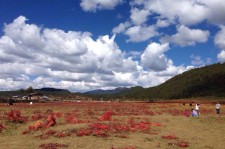 潮州旅游去处(暑期最好的旅游去处)