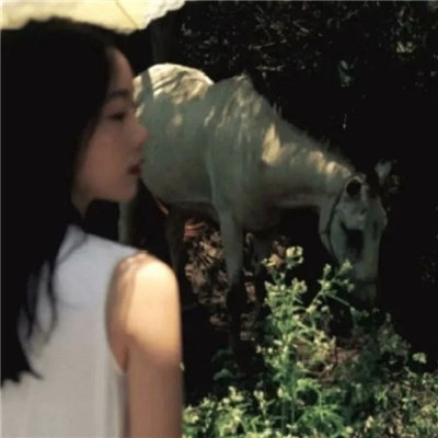 潮州私家伴游让你拥有一次完美的旅游体验