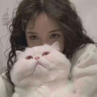 潮州伴游女生韩婉婷的资料
